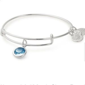 🍀💙 3/$20 Alex and Ani March Bangle💙🍀